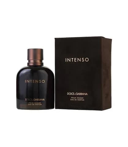 عطر مردانه اینتنسو دولچه گابانا | Dolce & Gabbana Intenso — تصویر ۳