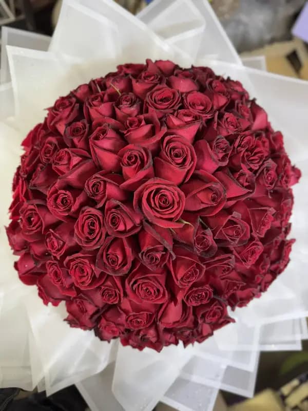 دسته گل عشق(۱۰۰شاخه رز قرمز) — تصویر ۴