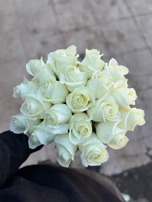 دسته گل رز سفید 20 شاخه ای — تصویر ۳