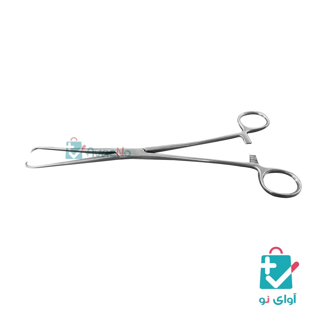پنس تناکلوم — تصویر ۲