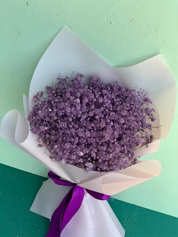 دسته گل ژیپسوفیلا بنفش — تصویر ۲