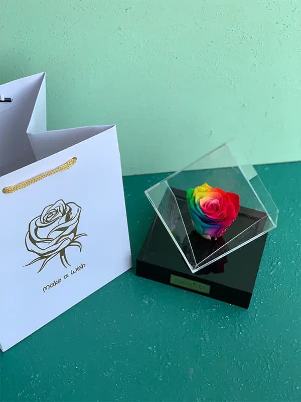 باکس چندوجهی مشکی رز جاودان هفت رنگ