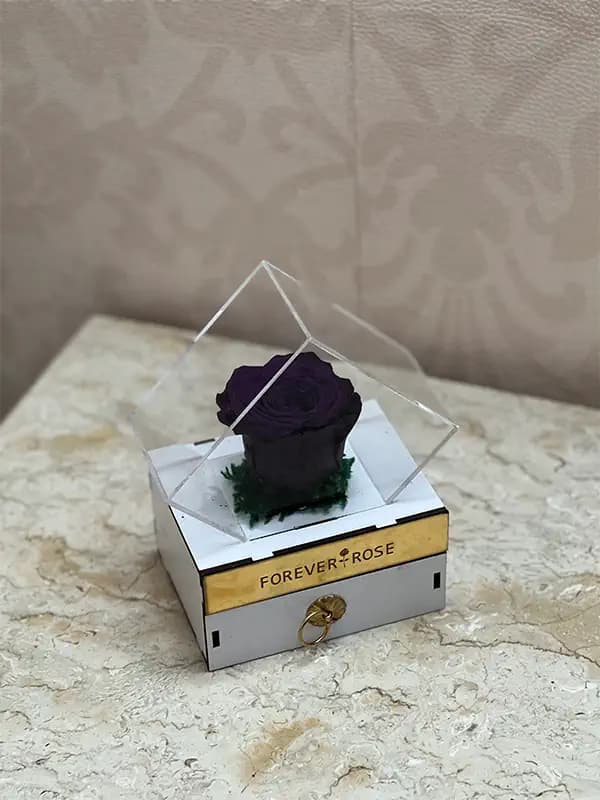 باکس کشویی رز جاودان بنفش — تصویر ۴