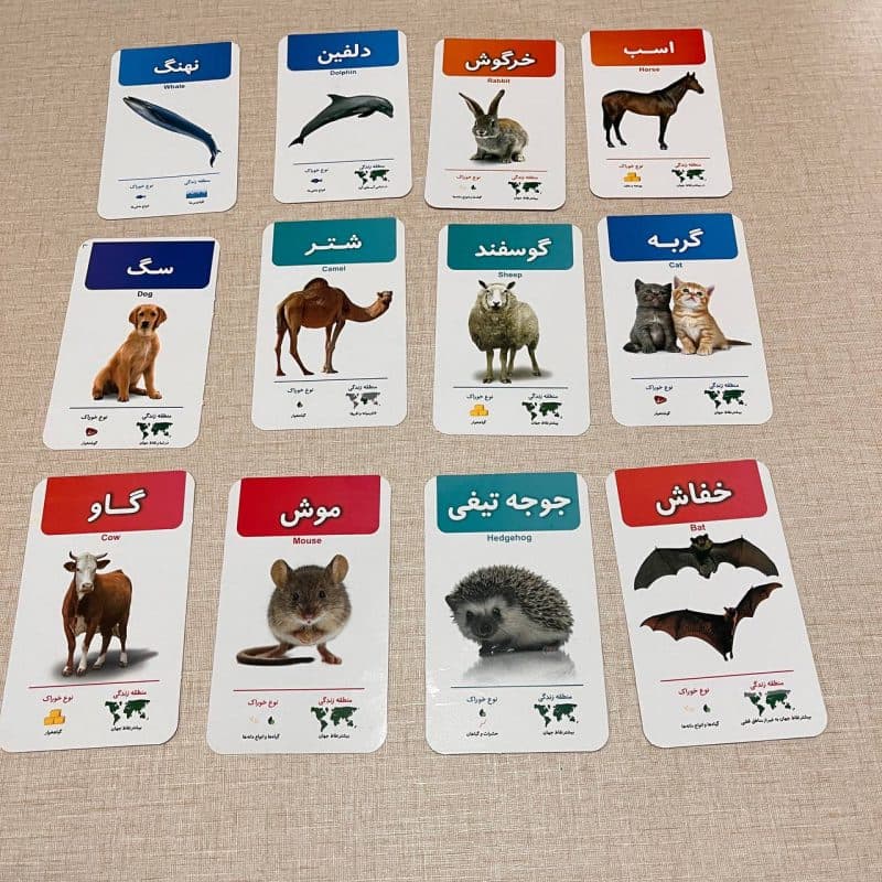 فلش کارت آشنایی با حیوانات مناسب کودک +۱ سال — تصویر ۱۱