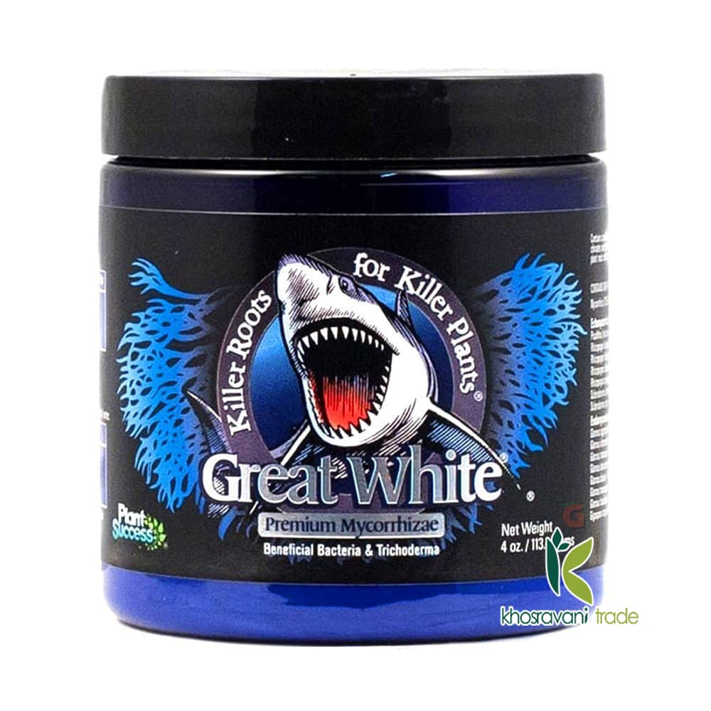گریت وایت پرمیوم (Great White Premium)