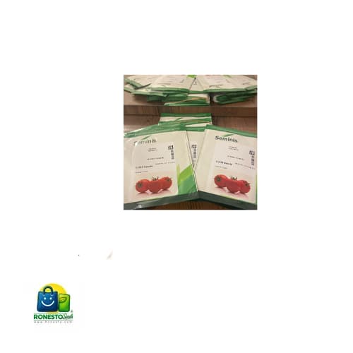 بذر گوجه 2466 هیبرید سمینیس — تصویر ۲