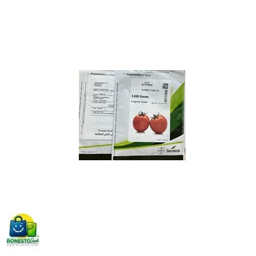 بذر گوجه فرنگی هیبرید 8042 زودرس سمینیس