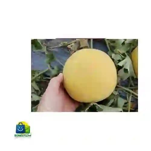 بذر ملون داکو هیبریدی (خربزه) — تصویر ۳