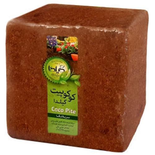 کوکوپیت گیلدا — تصویر ۳