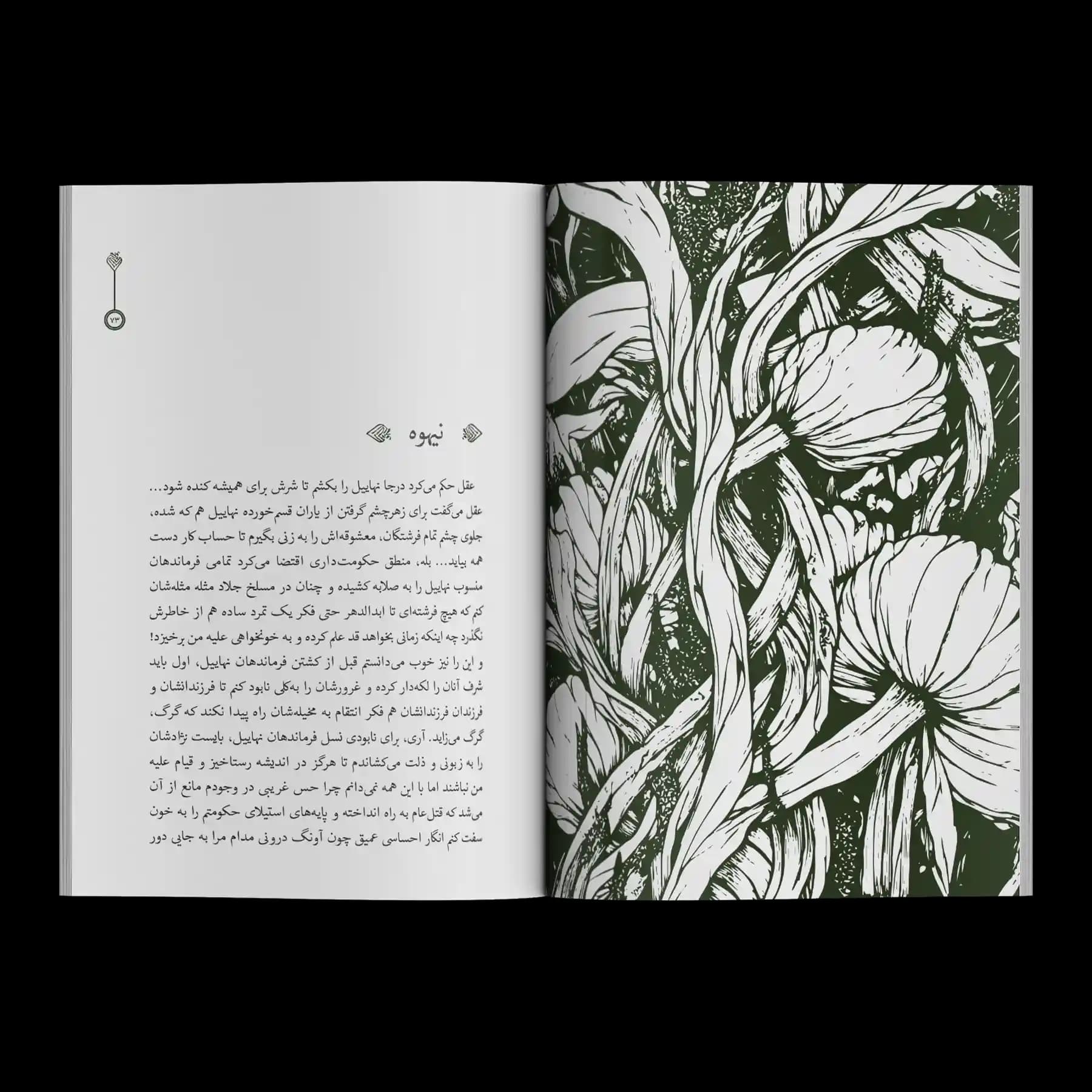 کتاب رمان نیاسو| جلد 7 میرانا — تصویر ۶
