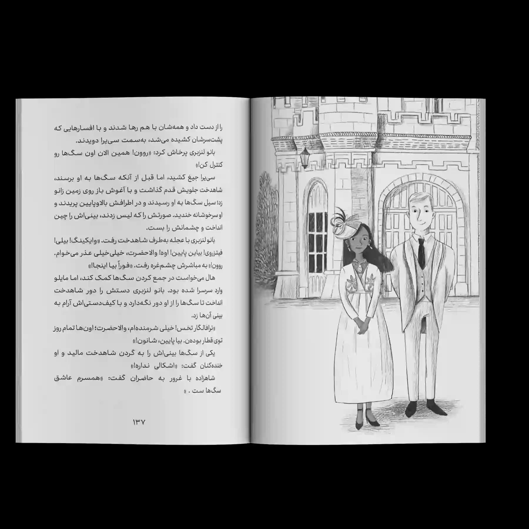 کتاب رمان مصور دزد شاهین کوهستان — تصویر ۷