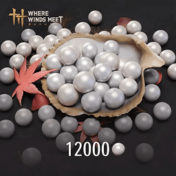 Where Winds Meet – 12000 Echo Beads