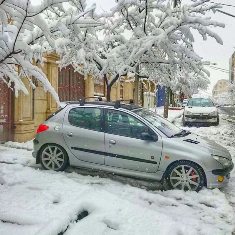 باربند پژو 206 RC اسپرت — تصویر ۲