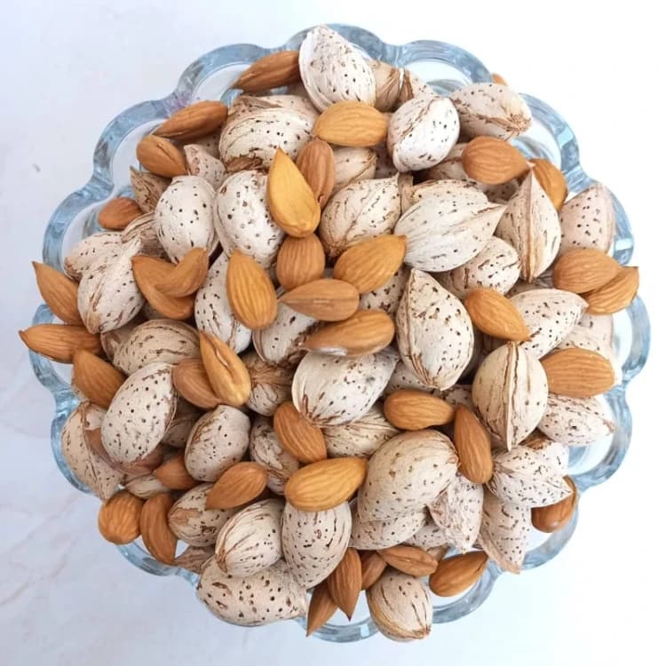 بادام پوست کاغذی خام ۱ کیلوگرم — تصویر ۶