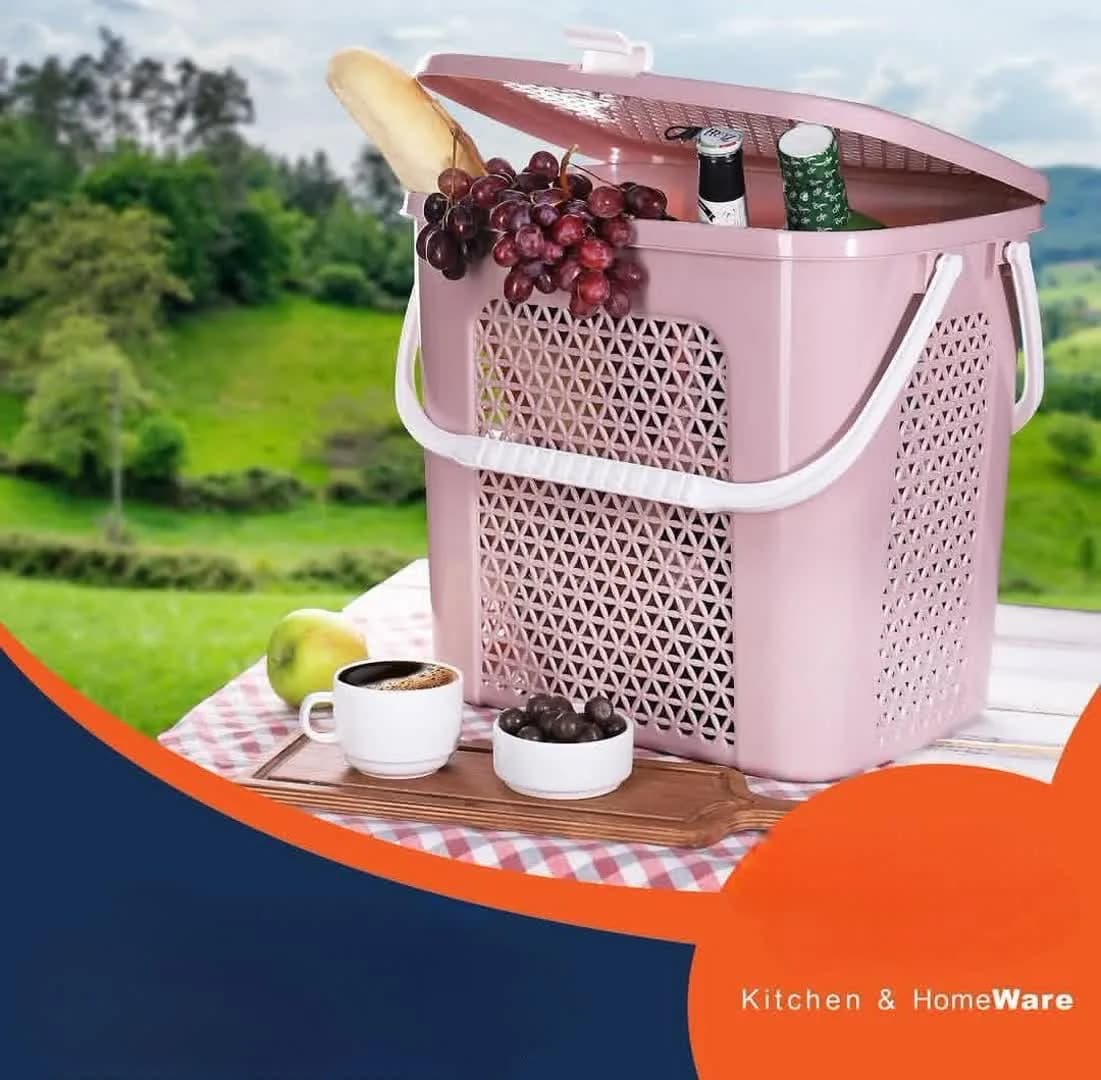 سبد پیک نیک مسافرتی دربدار لاريسا