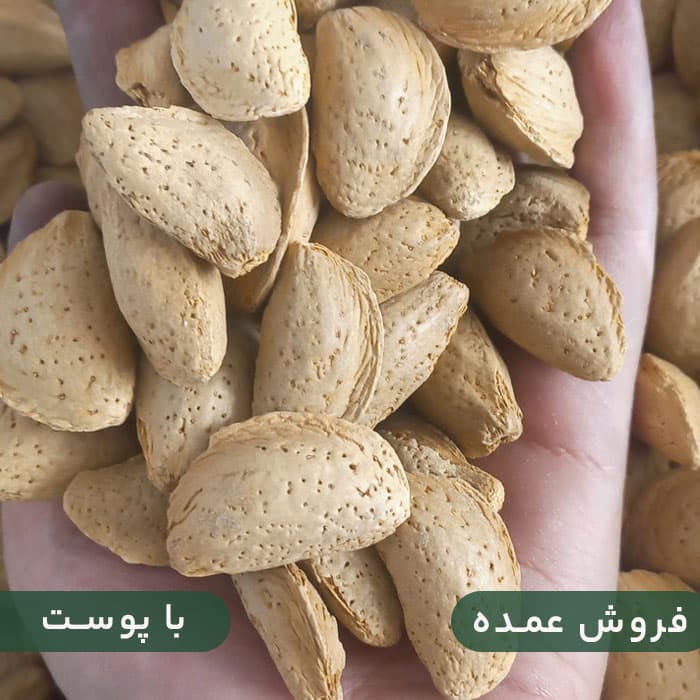 بادام درختی ایرانی مامایی (با پوست) فروش عمده