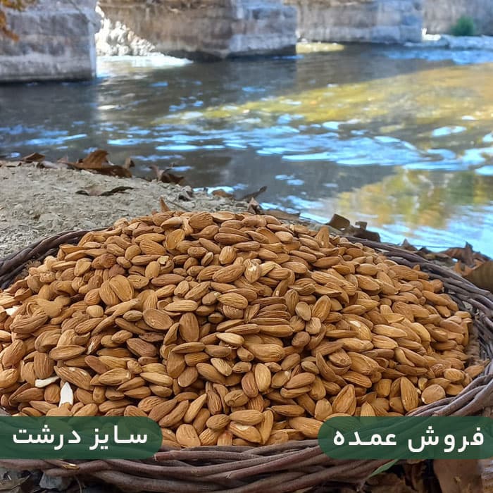مغز بادام درختی ایرانی مامایی عمده سایز درشت
