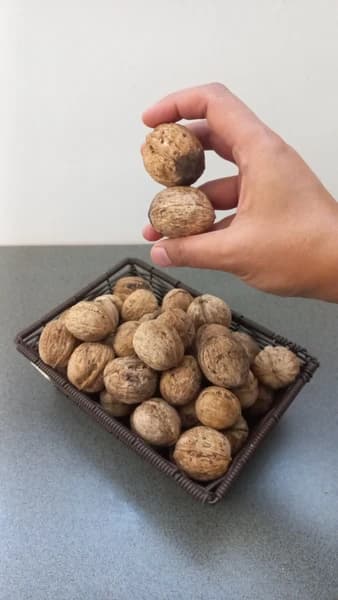 گردو فسنجونی سامان با پوست — تصویر ۸