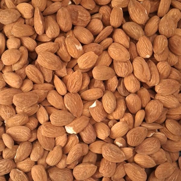 مغز بادام درختی ایرانی شاهرودی — تصویر ۳