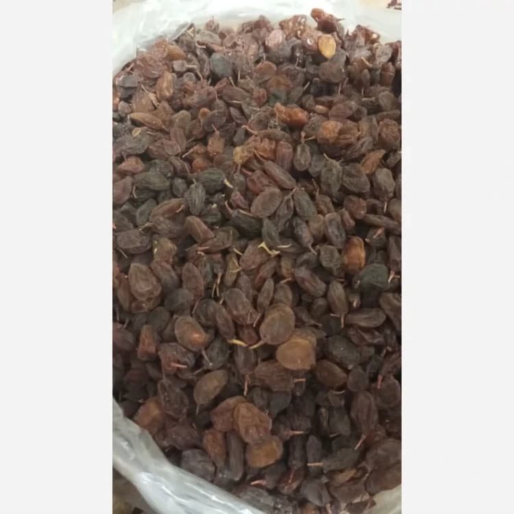 کشمش آفتابی (طبیعی و بدون افزودنی) سالم و نرم — تصویر ۳