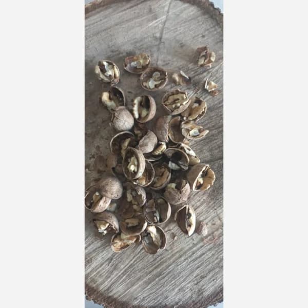 گردو (با پوست) سفید سامان درجه یک — تصویر ۸