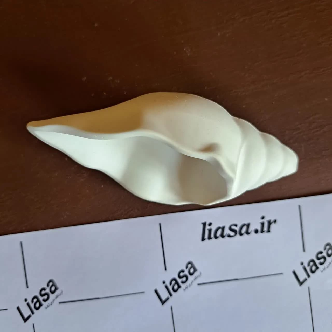 قالب سیلیکونی صدف — تصویر ۶