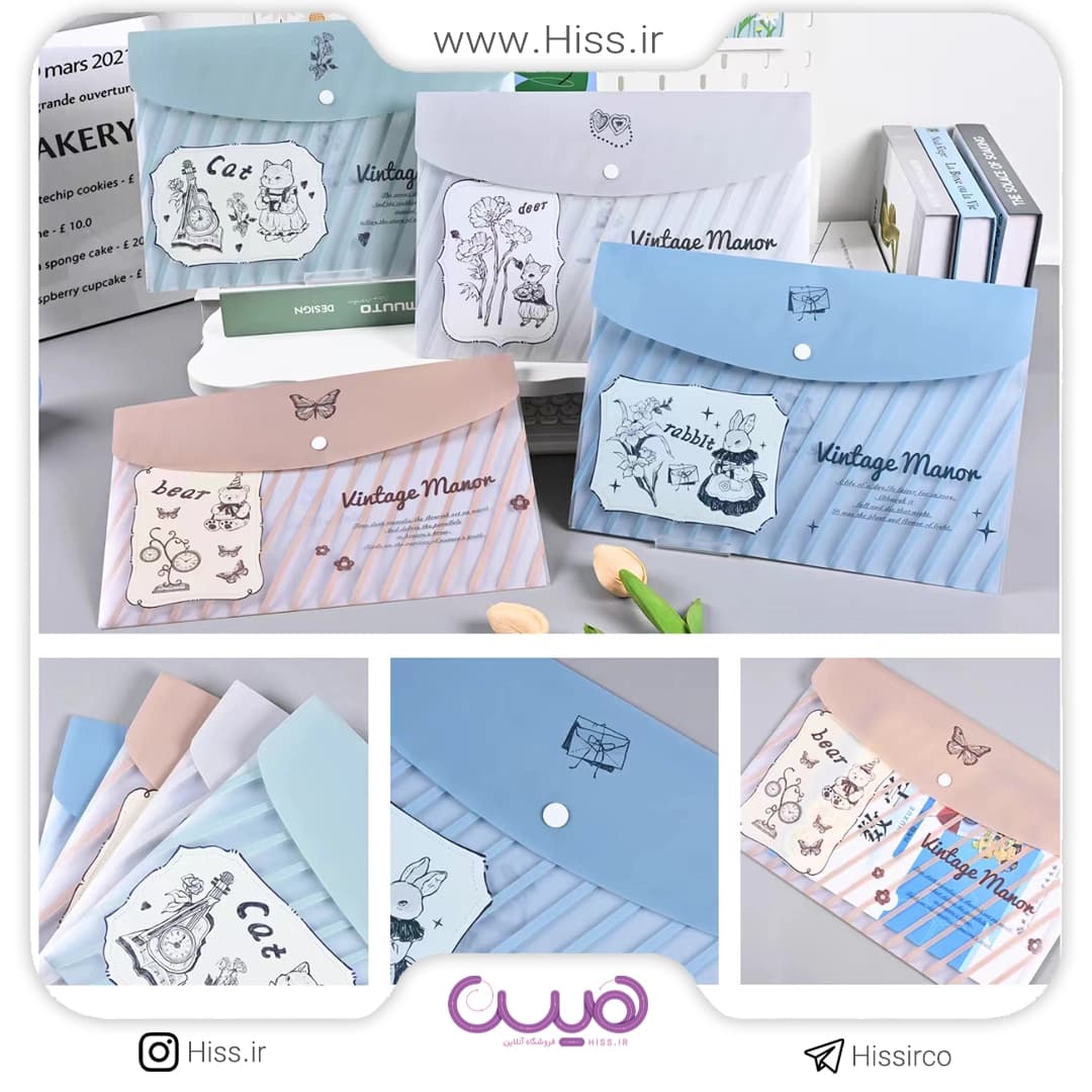 پوشه دکمه دار راه راه — تصویر ۲