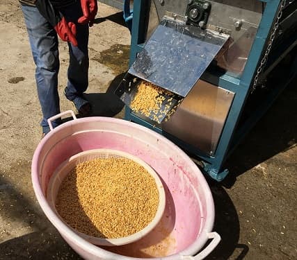 دستگاه شستشوی بذر خربزه، طالبی و گوجه فرنگی F.K402
