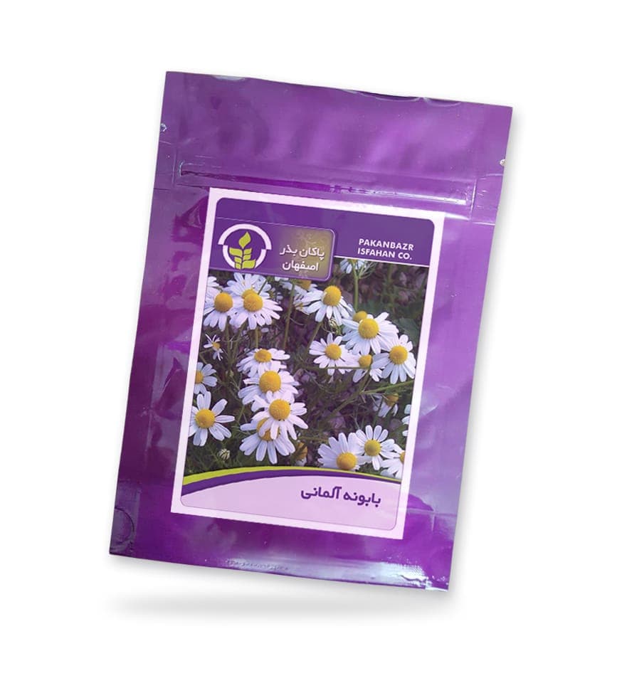 بذر بابونه