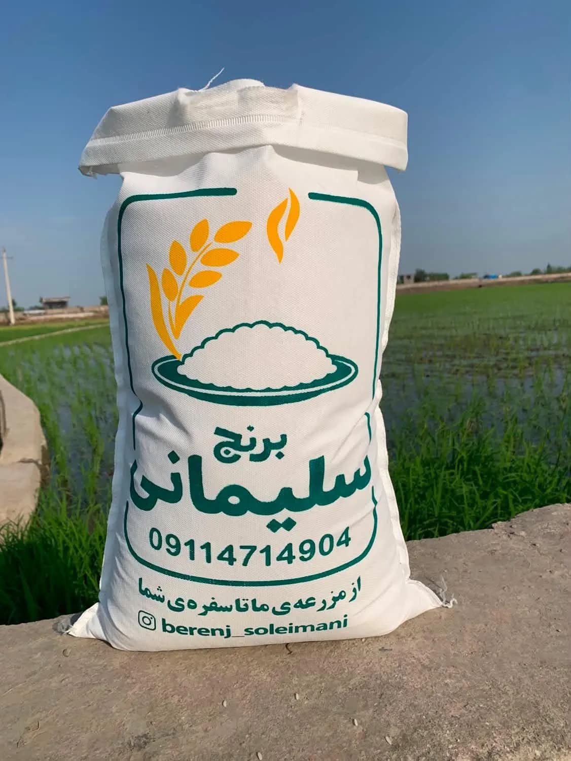 برنج طارم هاشمی ممتاز فریدونکنار