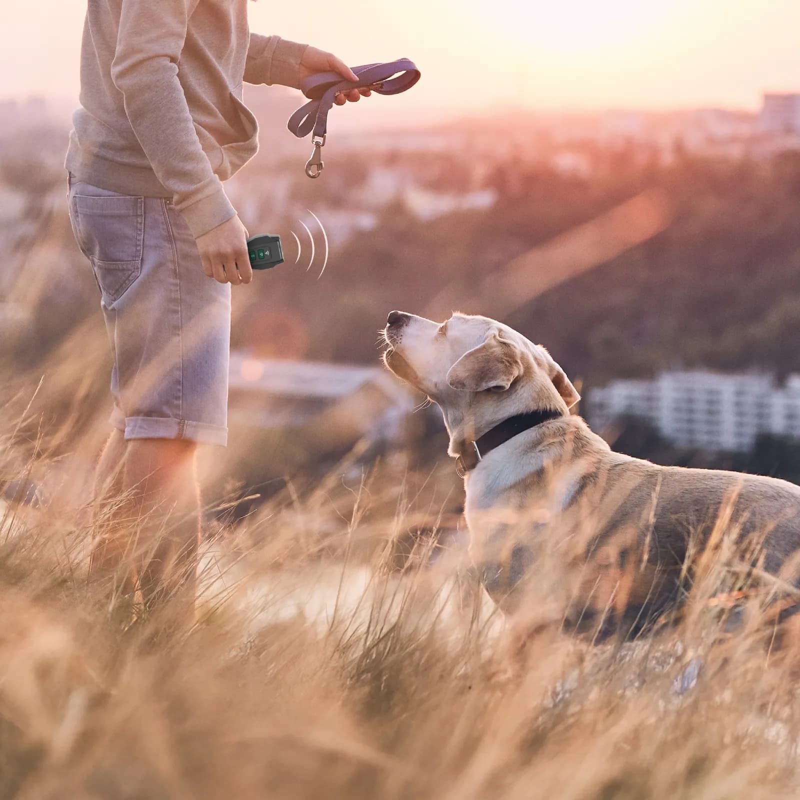 سپر اولتراسونیک حیوانات گرین لاین Ultrasonic Pet Shield — تصویر ۳