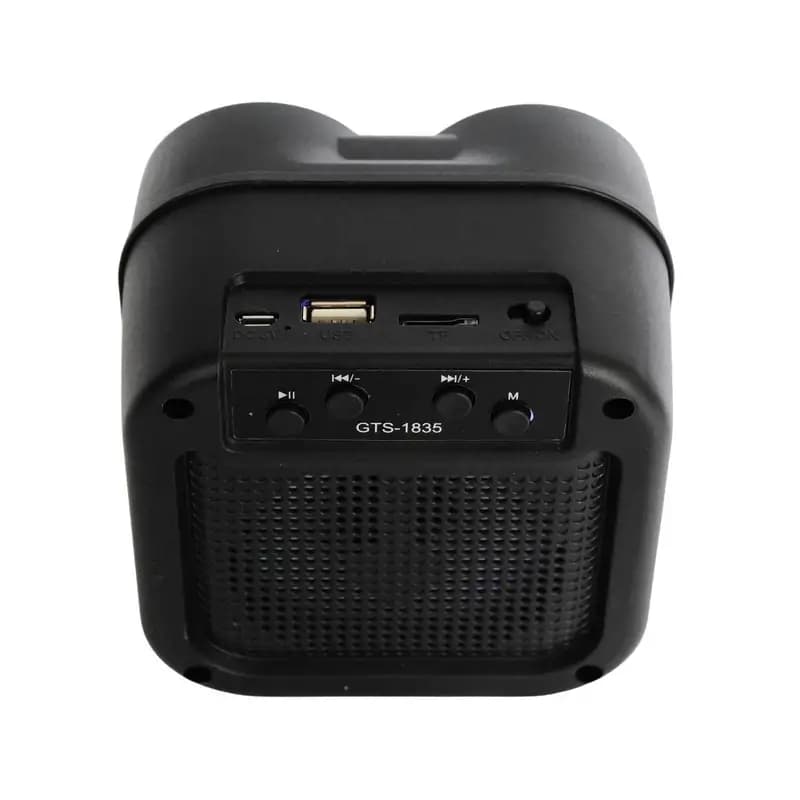 اسپیکر زیبای گریت نایس GTS-1835 — تصویر ۱۲