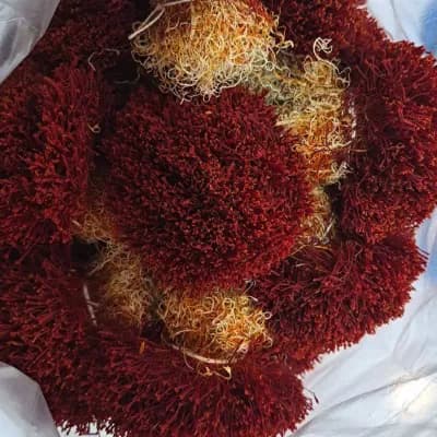 زعفران دخترپیچ یک مثقالی پاکتی کرقند — تصویر ۴