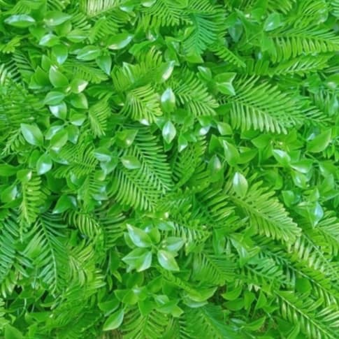 دیوار سبز مصنوعی سیکاس