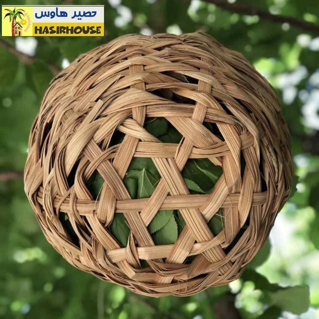 لانه پرنده حصیری — تصویر ۶