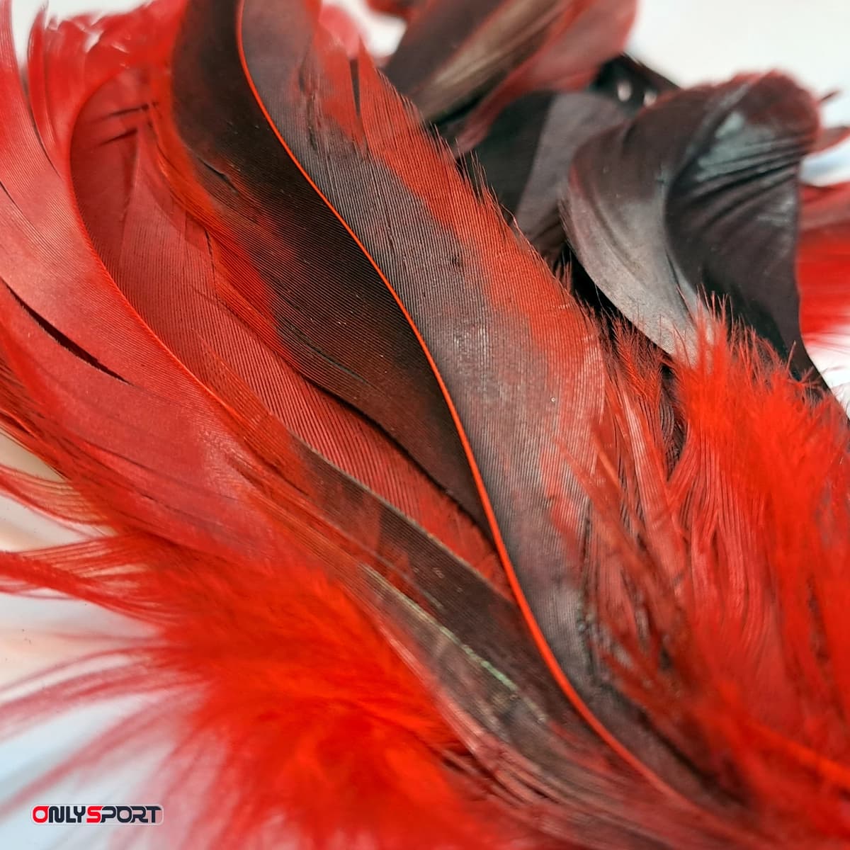 گوی پردار کیکبو کوچک (اقساط) — تصویر ۲