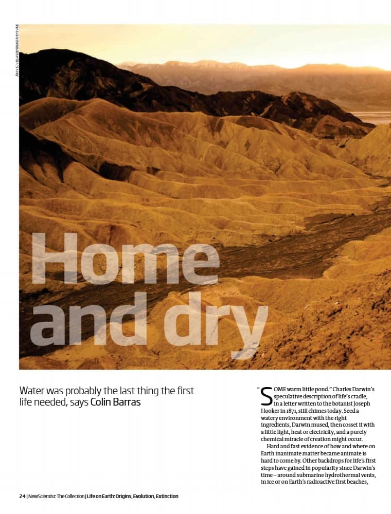 کتاب Home and Dry (خانه و آسوده) نسخه انگلیسی PDF — تصویر ۲