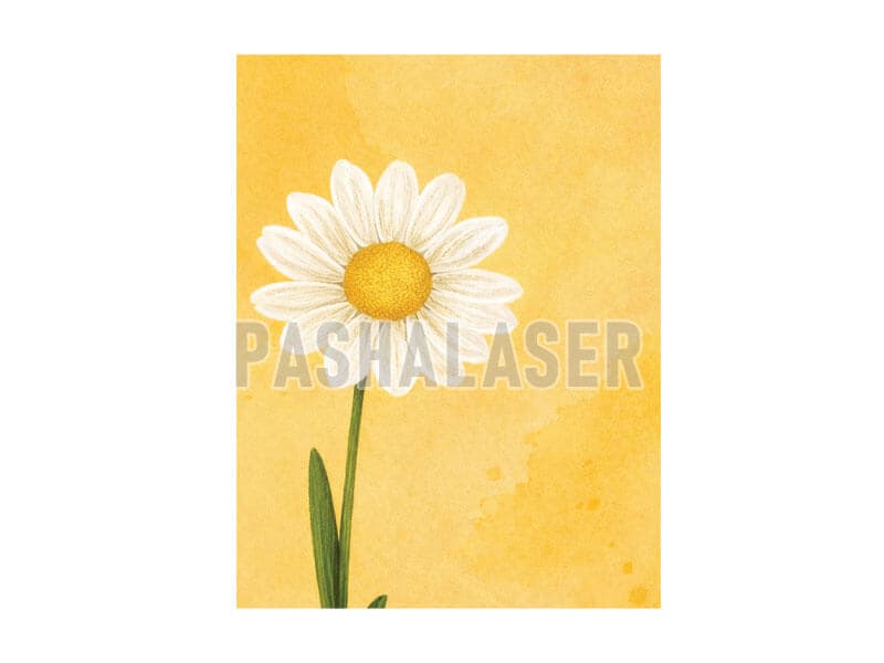 کارت گیفت شمع گل (بسته 8 عددی) کد 39263 — تصویر ۴