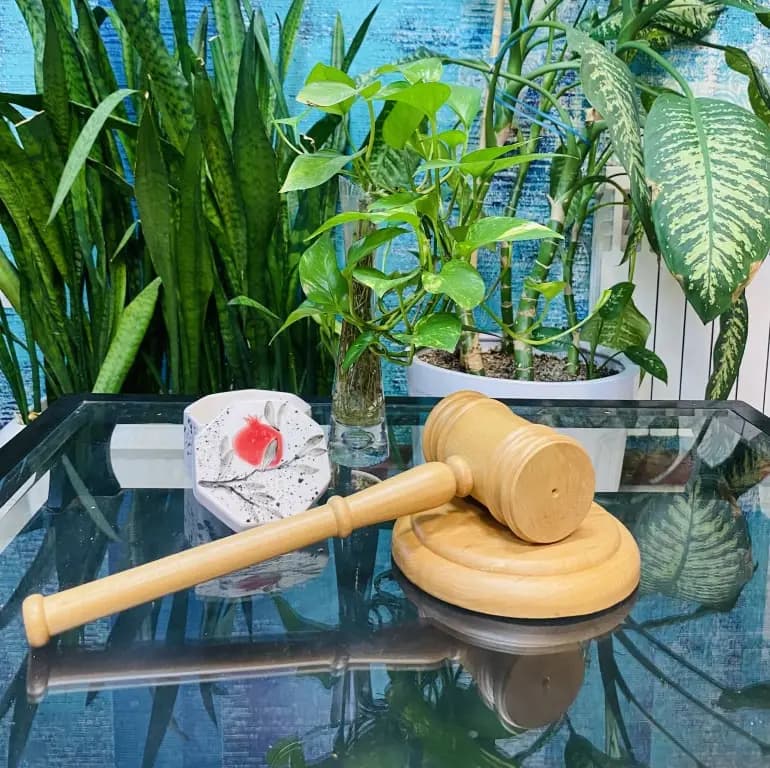 چکش عدالت با چوب روسی — تصویر ۵