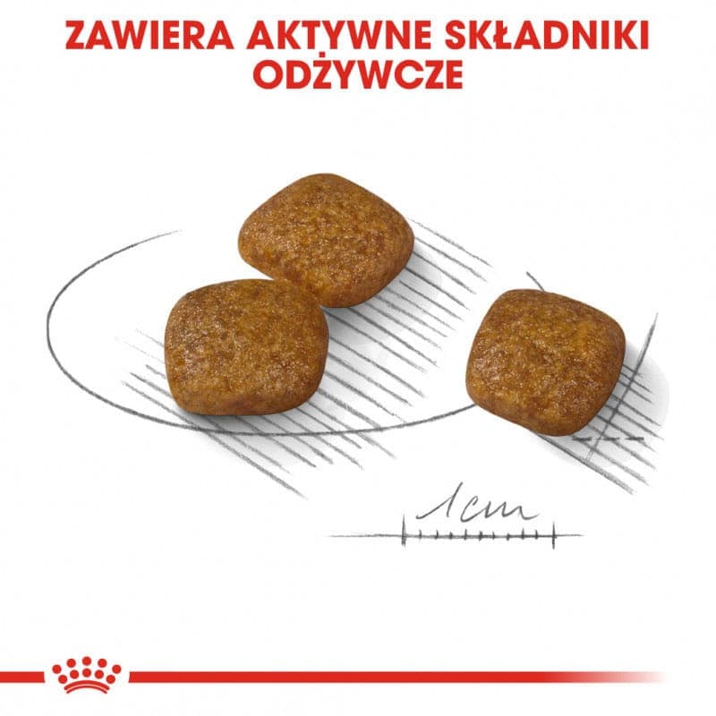 غذای خشک سگ مینی یورینری کر رویال کنین (Royal Canin Mini Urinary Care) وزن 3 کیلوگرم — تصویر ۶
