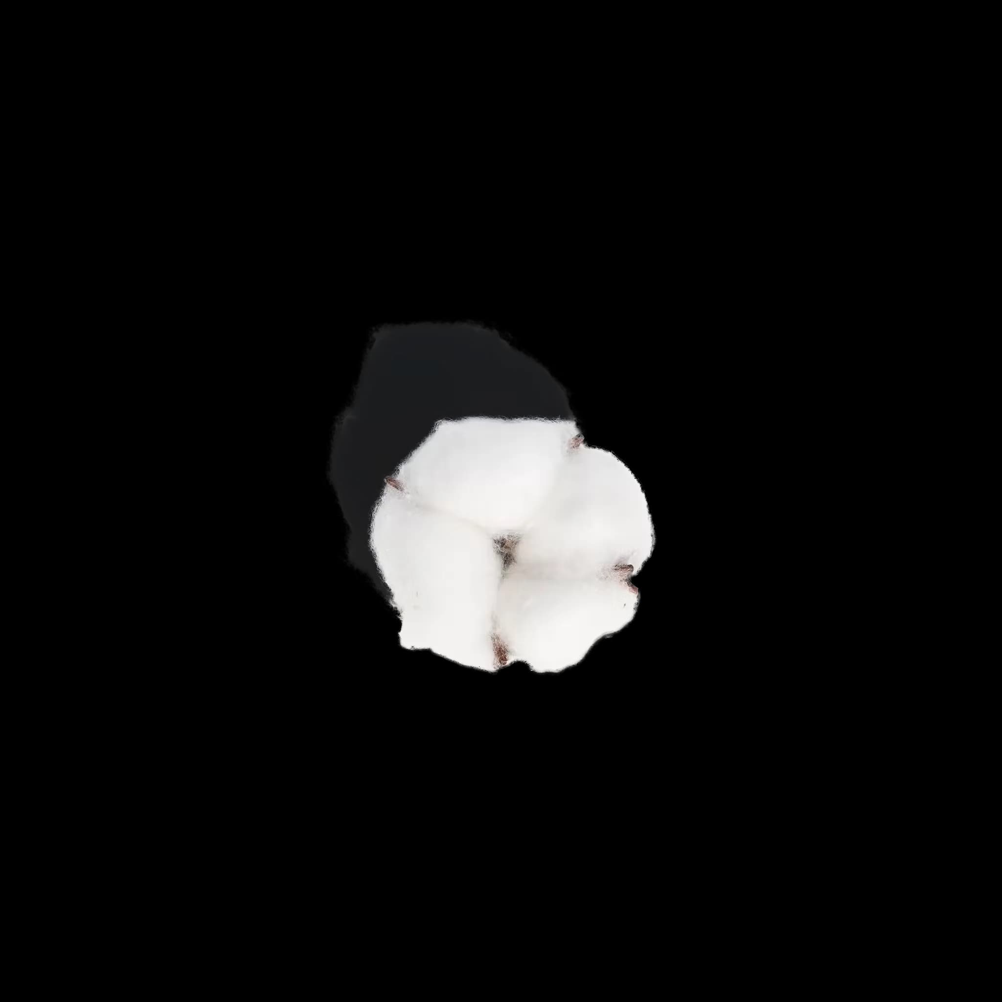 پد 50 عددی مربعی آرایش پاک کن 100% پنبه خالص cotton بایفاس Byphasse (اصلی) — تصویر ۲