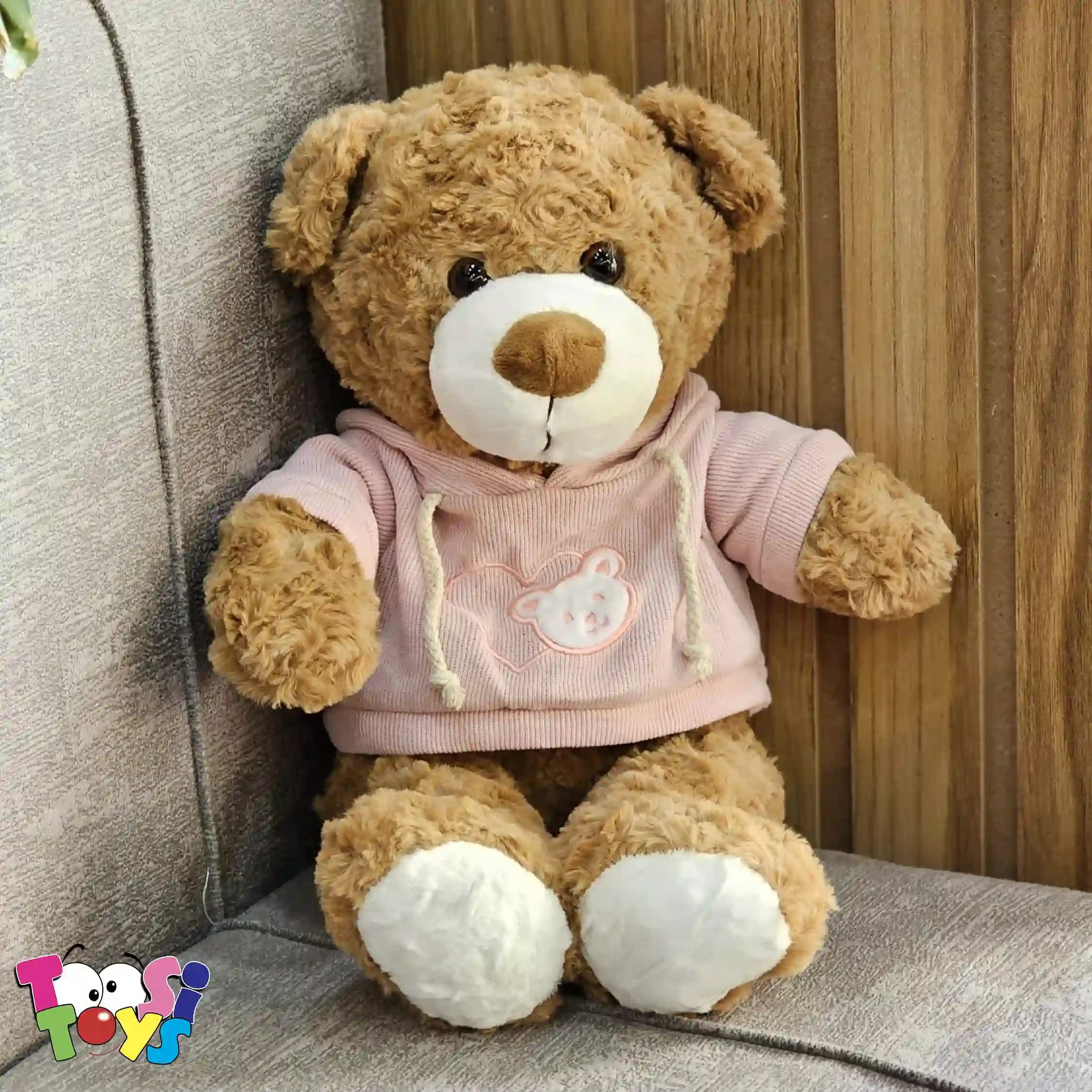 عروسک خرس لباس هودی ایستاده — تصویر ۲
