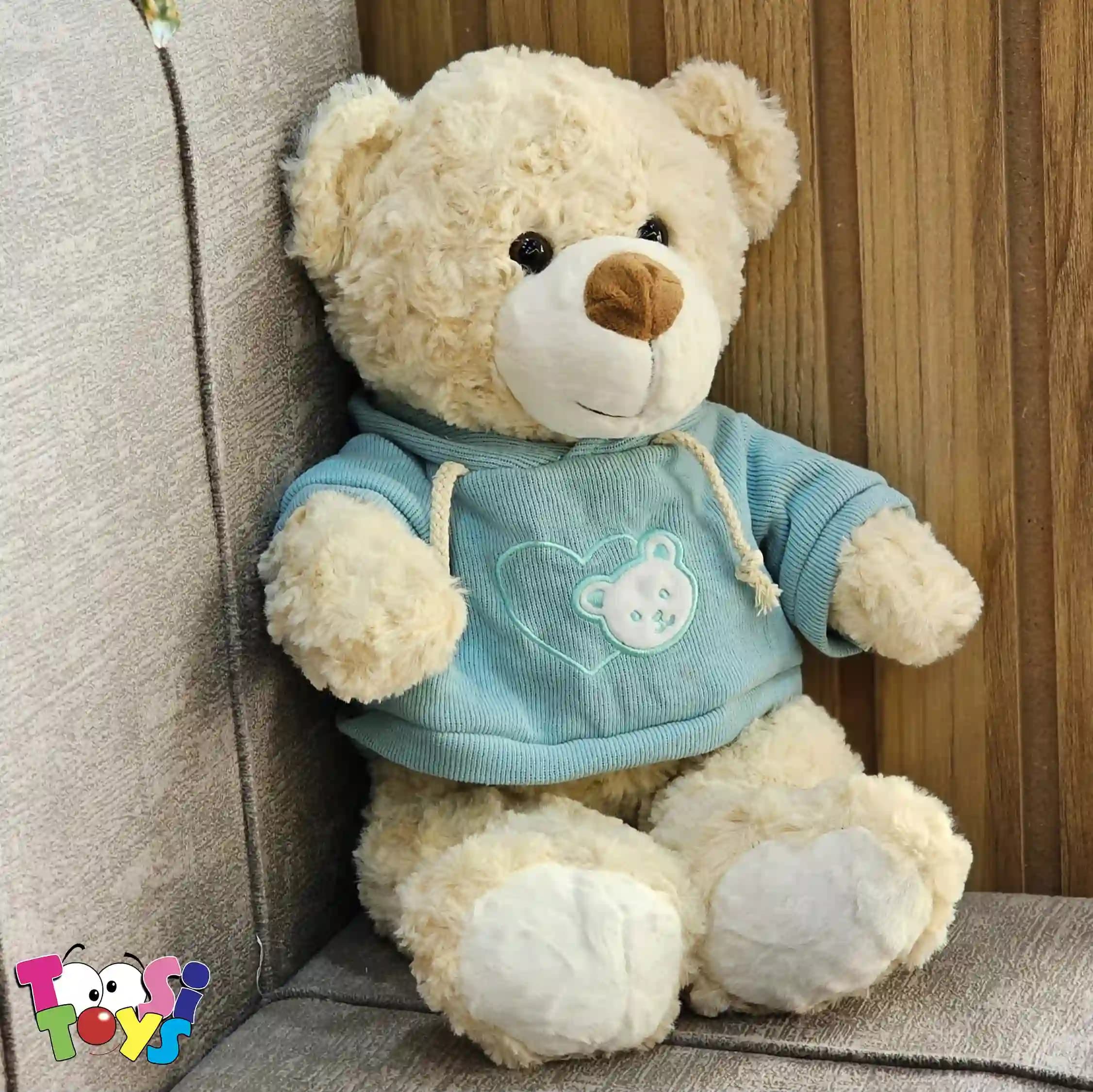 عروسک خرس لباس هودی ایستاده — تصویر ۵