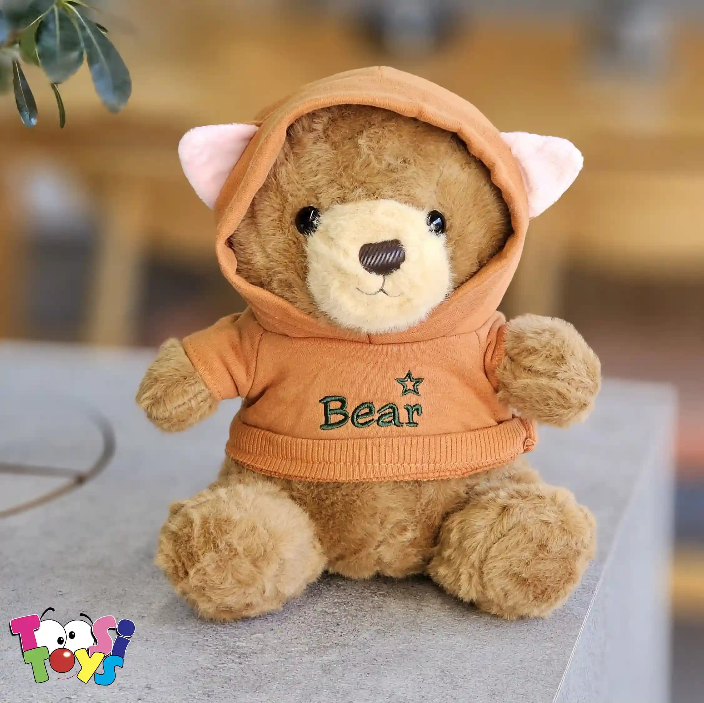 عروسک خرس لباس هودی BEAR — تصویر ۵
