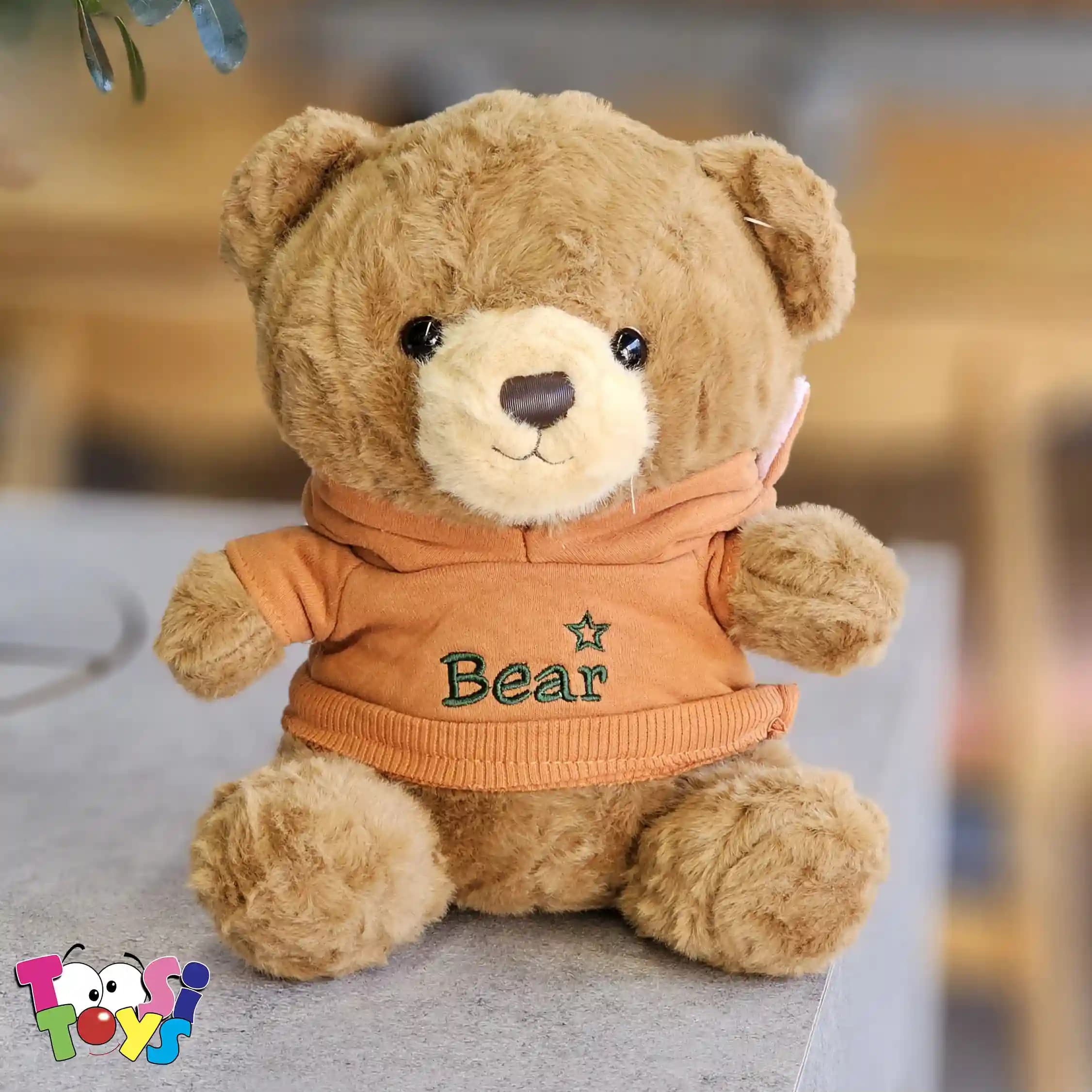 عروسک خرس لباس هودی BEAR — تصویر ۲