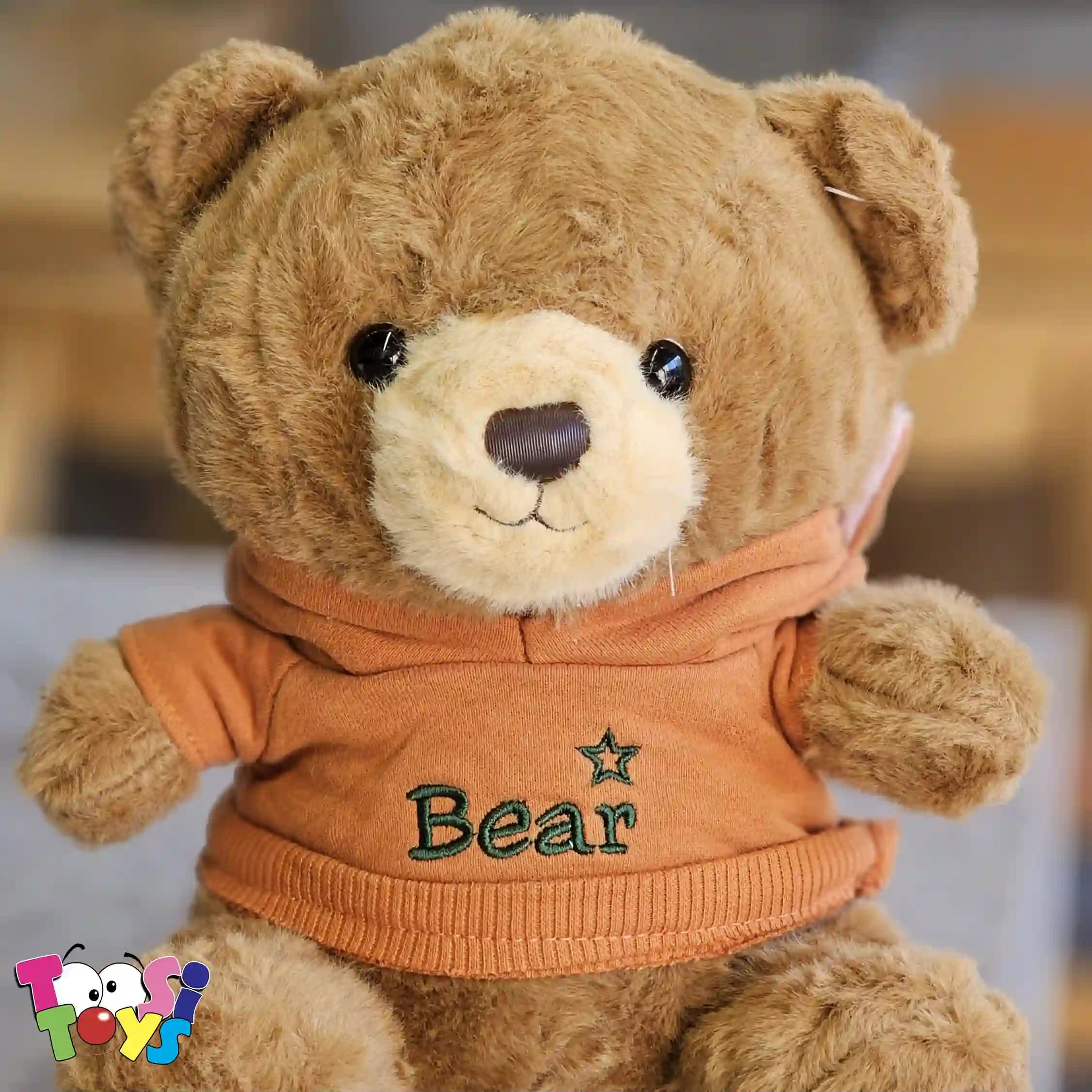 عروسک خرس لباس هودی BEAR — تصویر ۷