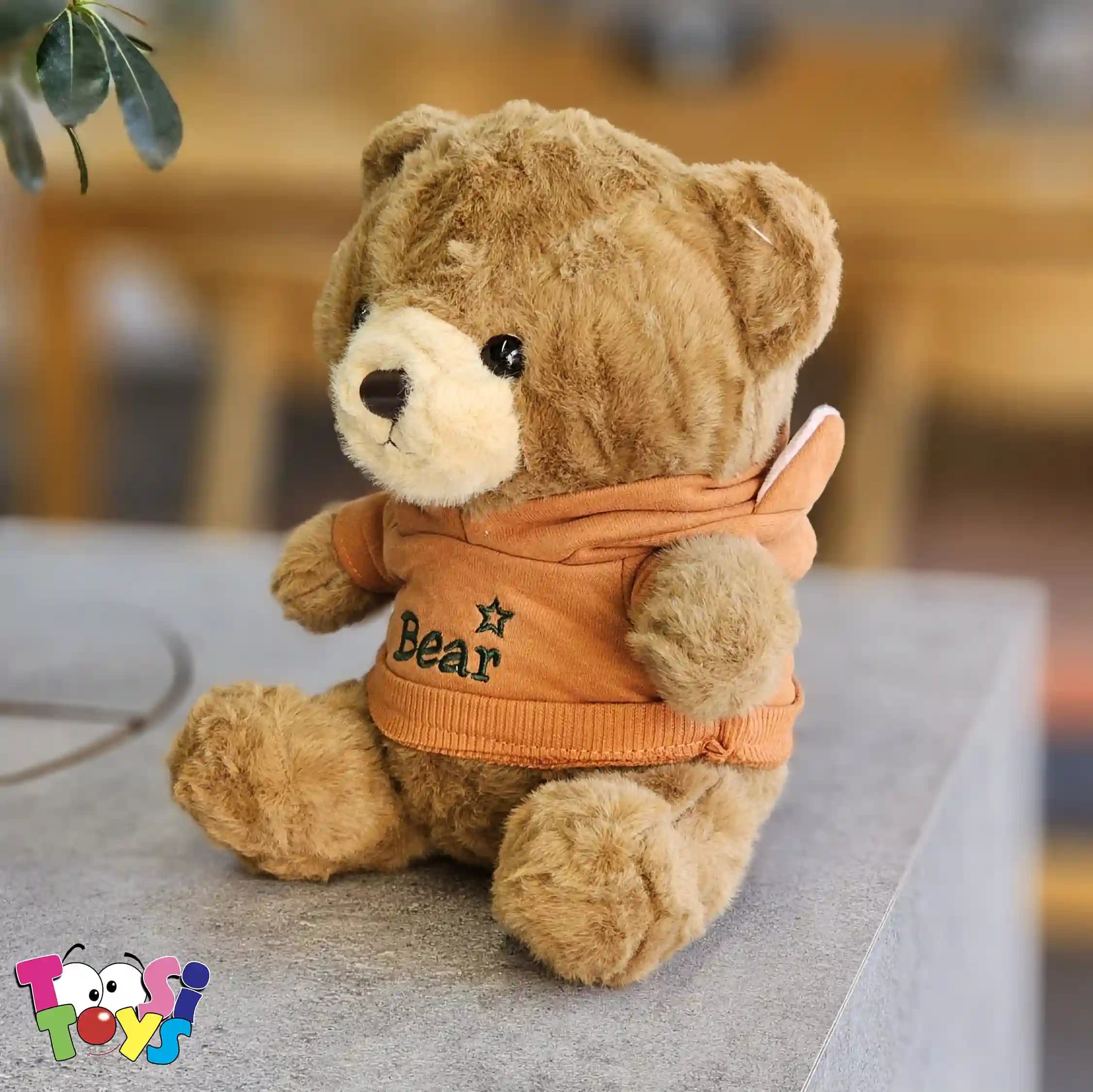 عروسک خرس لباس هودی BEAR — تصویر ۴