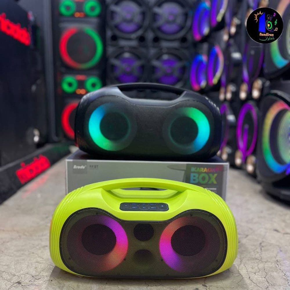 اسپیکر بوم باکس بی تی اس مدل BTS 2313 — تصویر ۶