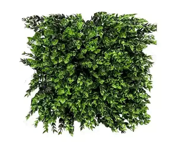 دیوار سبز پونه