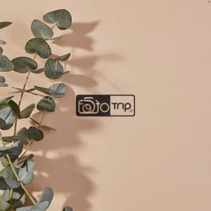 بکدراپ چوبی تک رو کد s09
